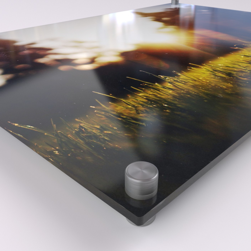 Perspex and Acrylic Wall Art UK Sign Shop