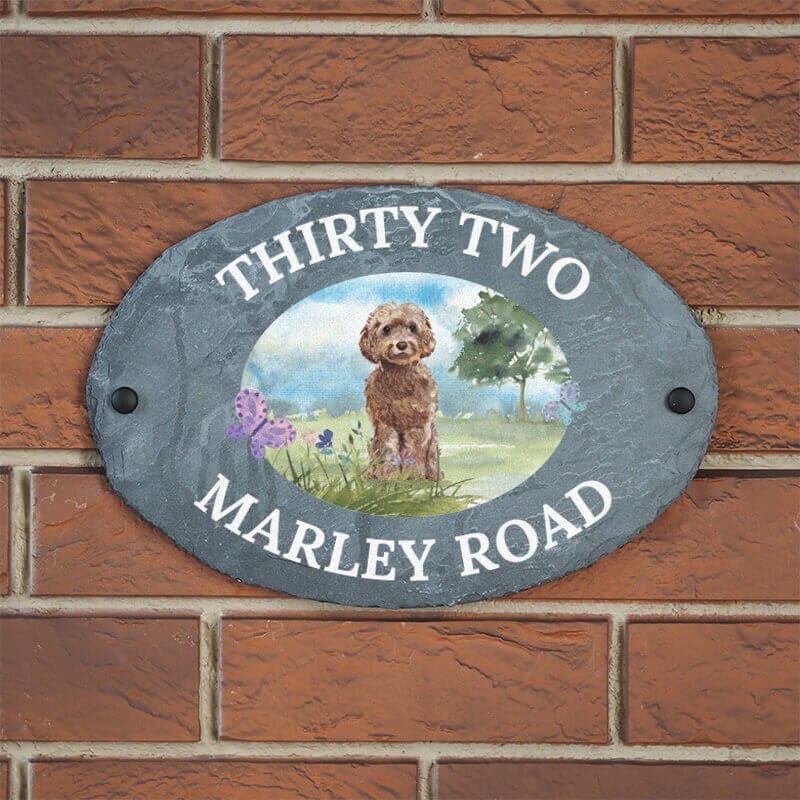 Marley on Slate  (70+ dog breeds) live preview