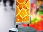 Giant Outdoor Pavement Sign Consul
